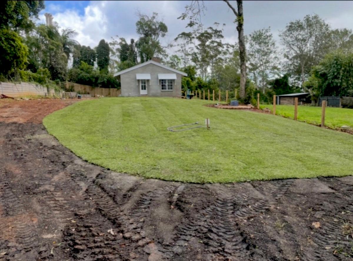 Freshly laid lawn in front of a Brisbane home
