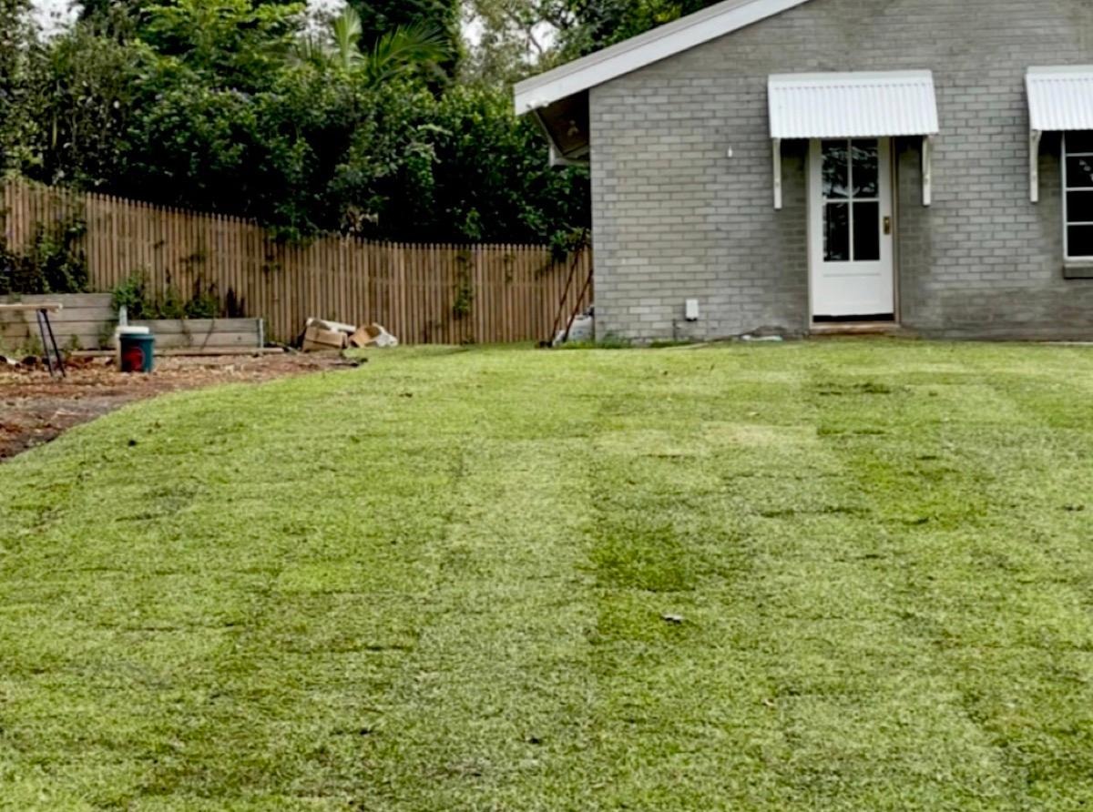 Fresh turf rolling out across a backyard