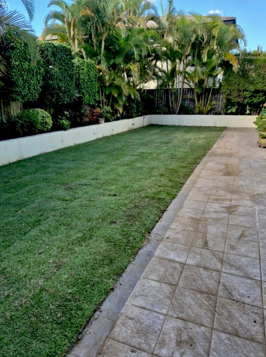 Fresh lawn beside a timber deck