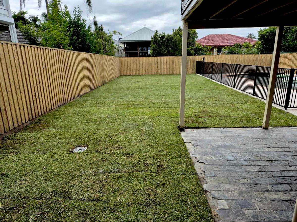 New lawn under a pergola with paved edging