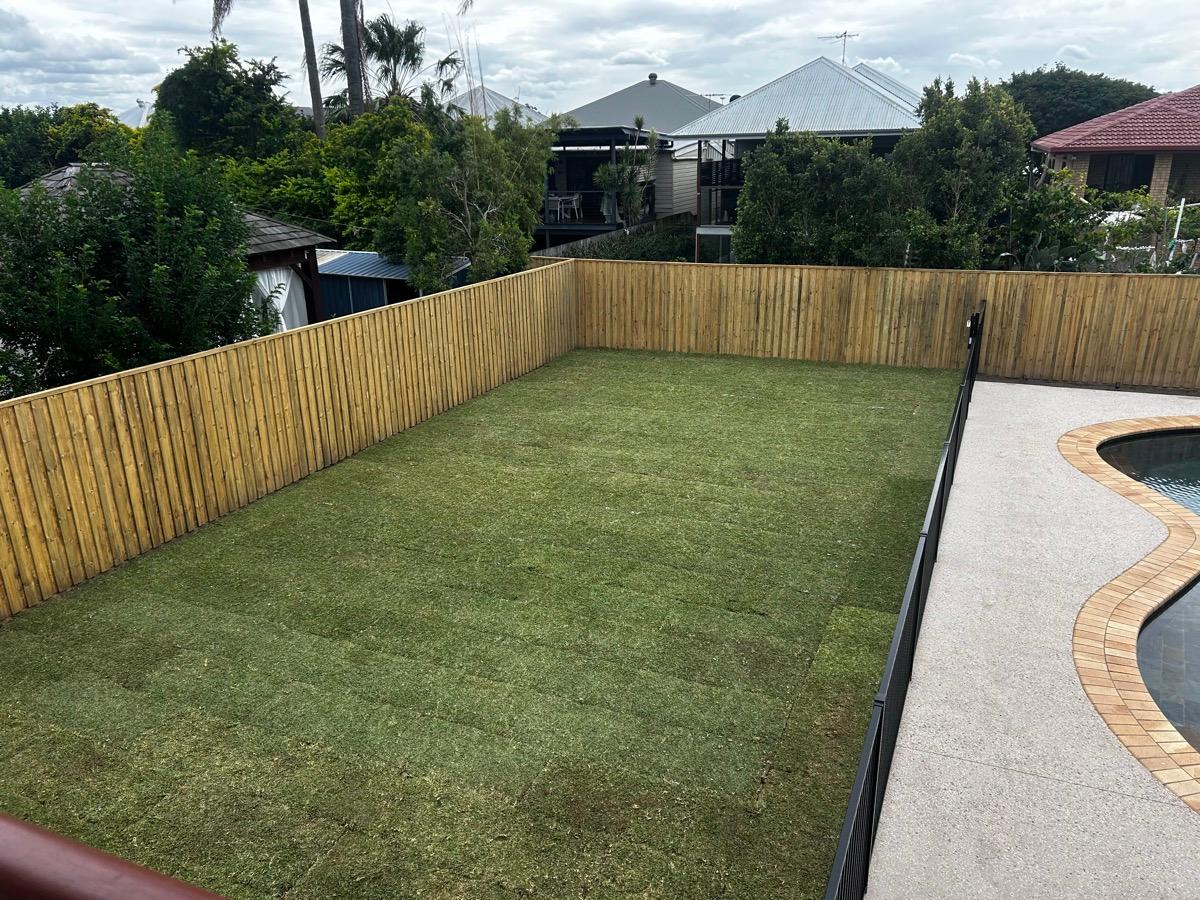 Backyard turf laid up to a new timber fence