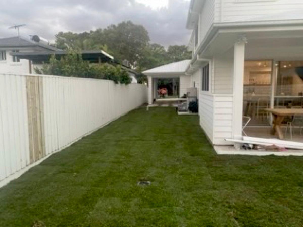 Lawn with stepping stones and pebble garden edging